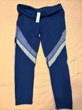 Women’s Fabletics Blue Colorblock Active Leggings